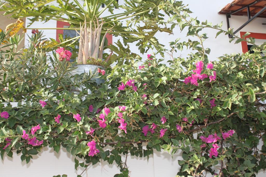 Yria Residencial Bed and Breakfast Porto Novo Buitenkant foto